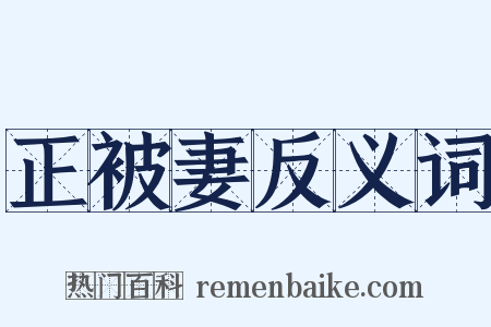 正被妻反义词是什么意思的图片